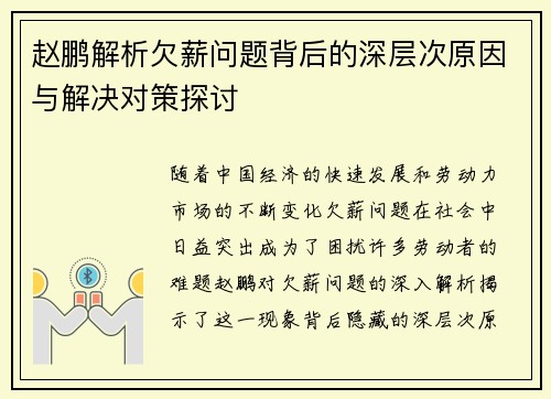 赵鹏解析欠薪问题背后的深层次原因与解决对策探讨